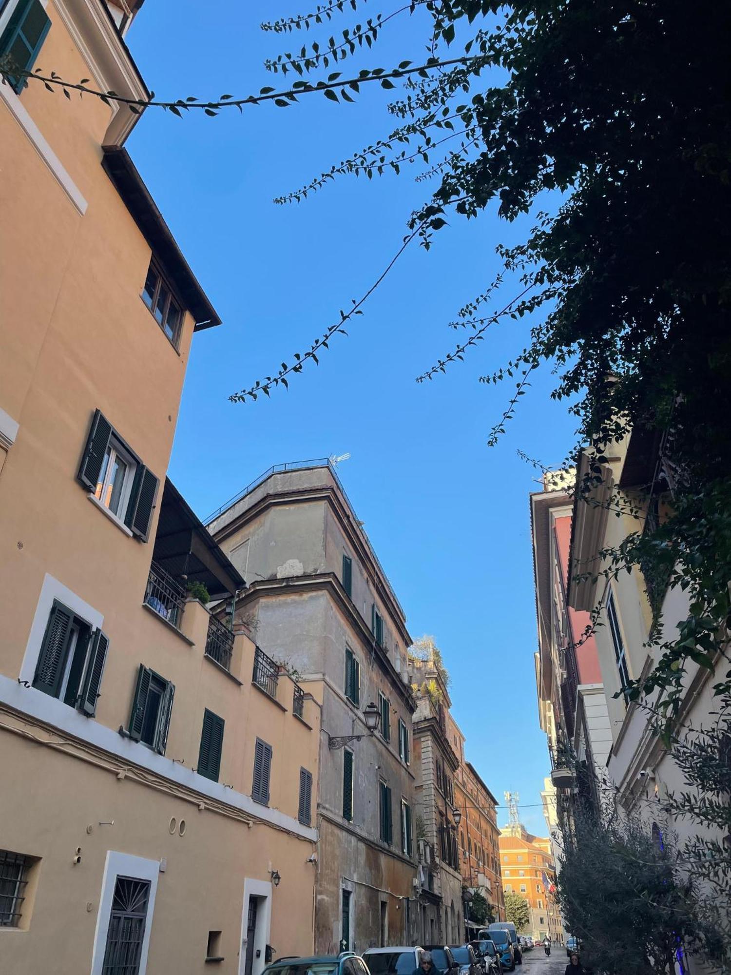 Gasthof Flatinrome In Trastevere